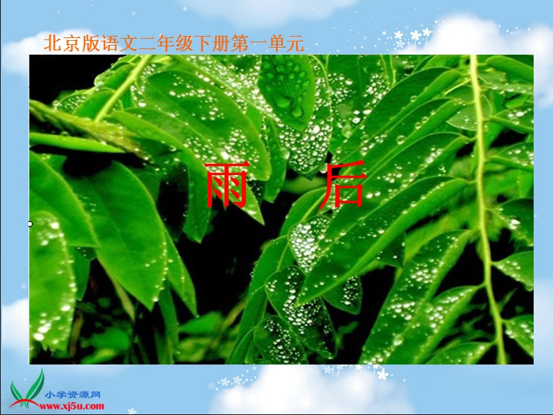 （北京版）二年级语文下册课件 雨后.ppt_第1页