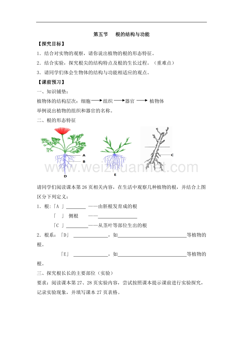 济南版八上生物第一章-绿色开花植物的一生第5节参考导学案1.doc_第1页