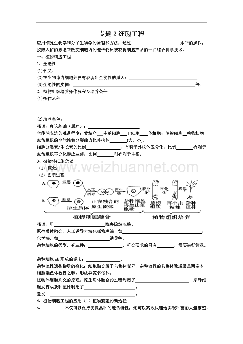 陕西省西安市长安区第一中学高二生物人教版选修三导学案：专题2细胞工程（2） .doc_第1页