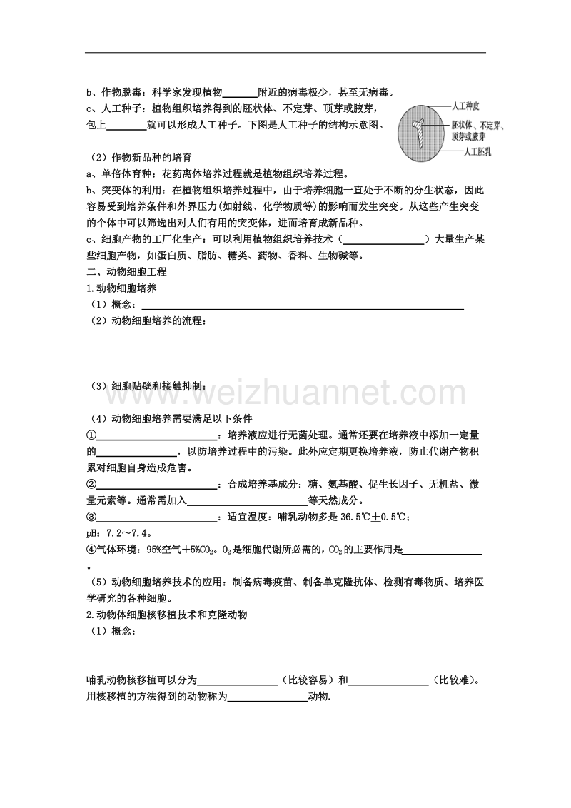 陕西省西安市长安区第一中学高二生物人教版选修三导学案：专题2细胞工程（2） .doc_第2页