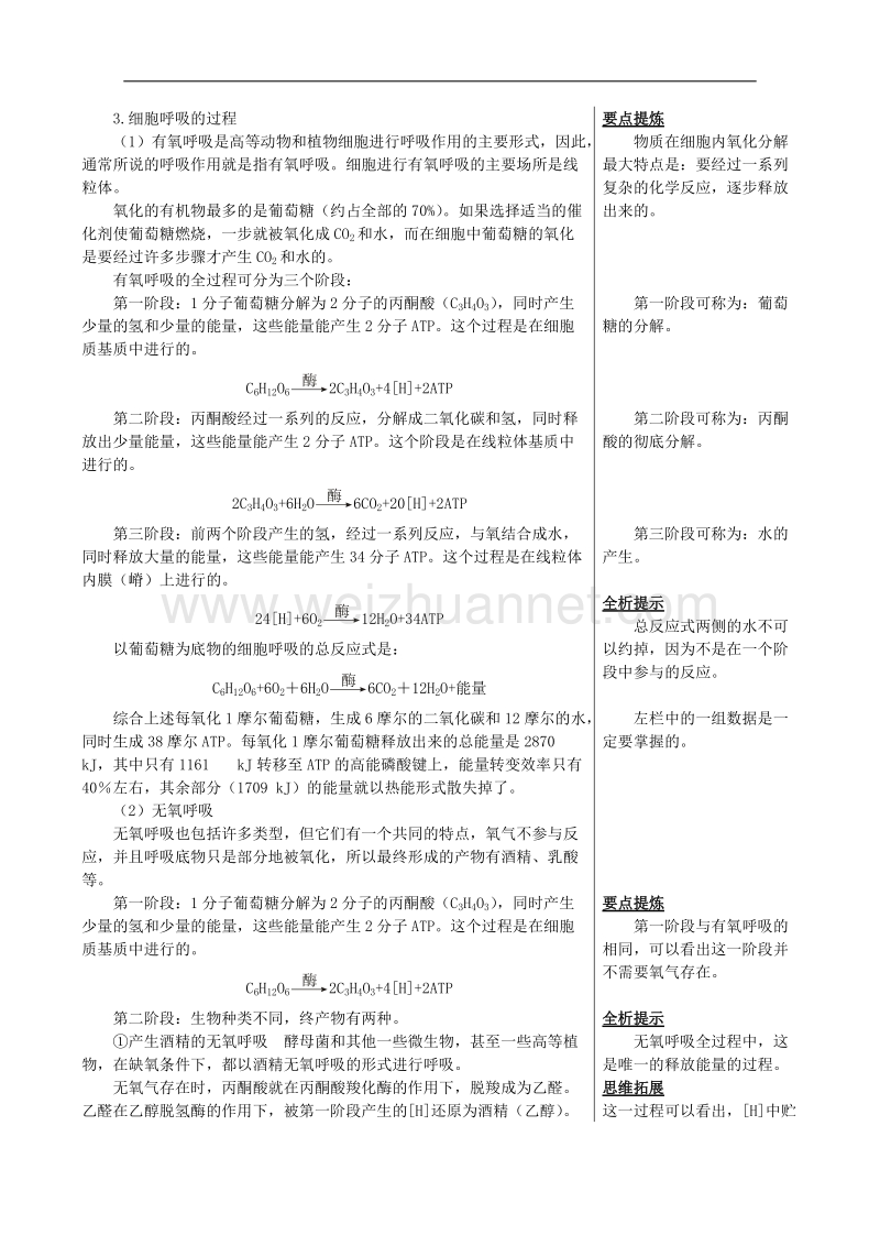 生物：3.2.4《从化学能到生物能》学案（1）（中图版必修1）.doc_第3页