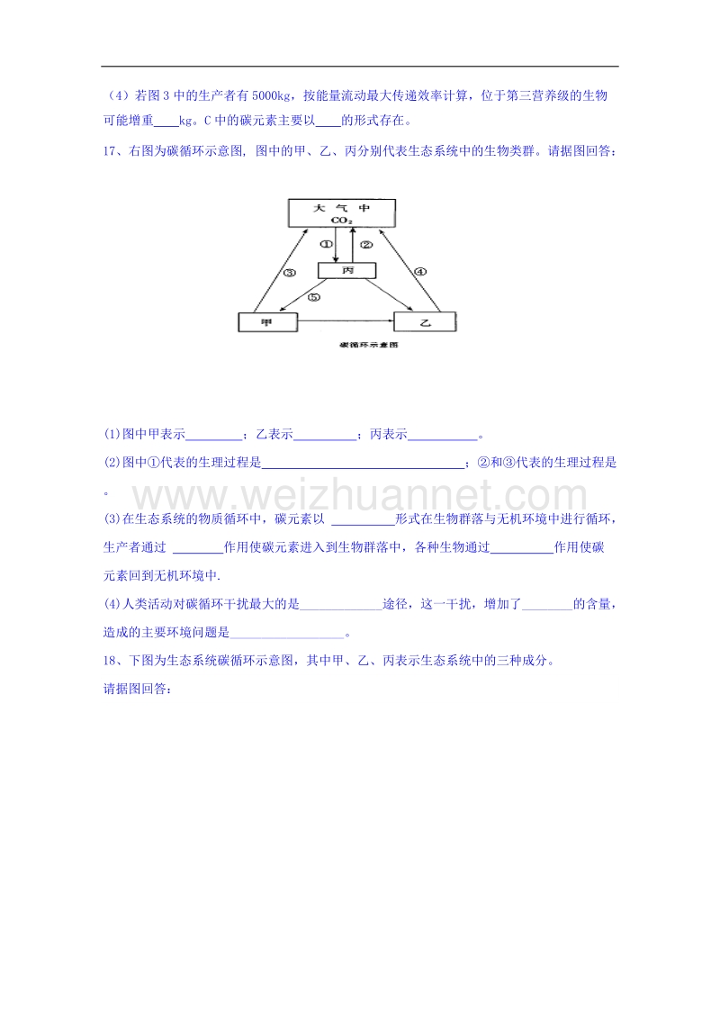 河南省确山县第二高级中学人教版高中生物教案：必修三5.3生态系统物质循环2.doc_第3页