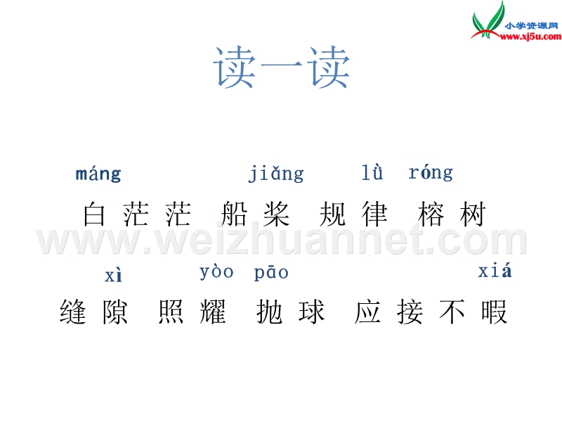 四年级语文上册 3.鸟的天堂课件 新人教版.ppt_第3页