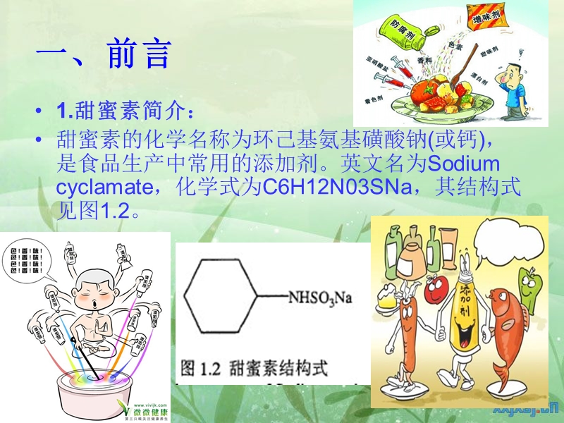 食品中甜蜜素的研究.ppt_第3页