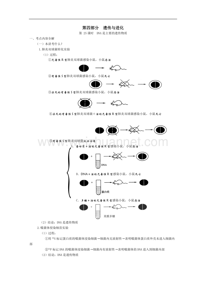 高三生物第一轮复习(旧人教)遗传的物质基础.doc_第1页