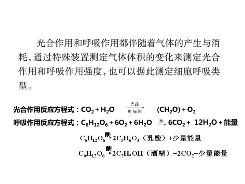 特定装置测定光合作用和呼吸作用强度.ppt_第2页