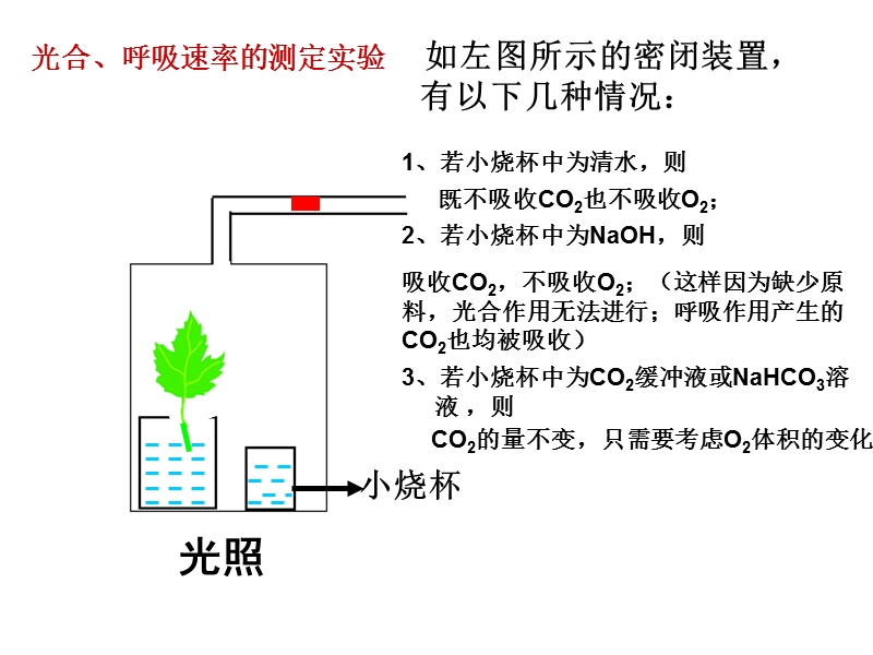 特定装置测定光合作用和呼吸作用强度.ppt_第3页