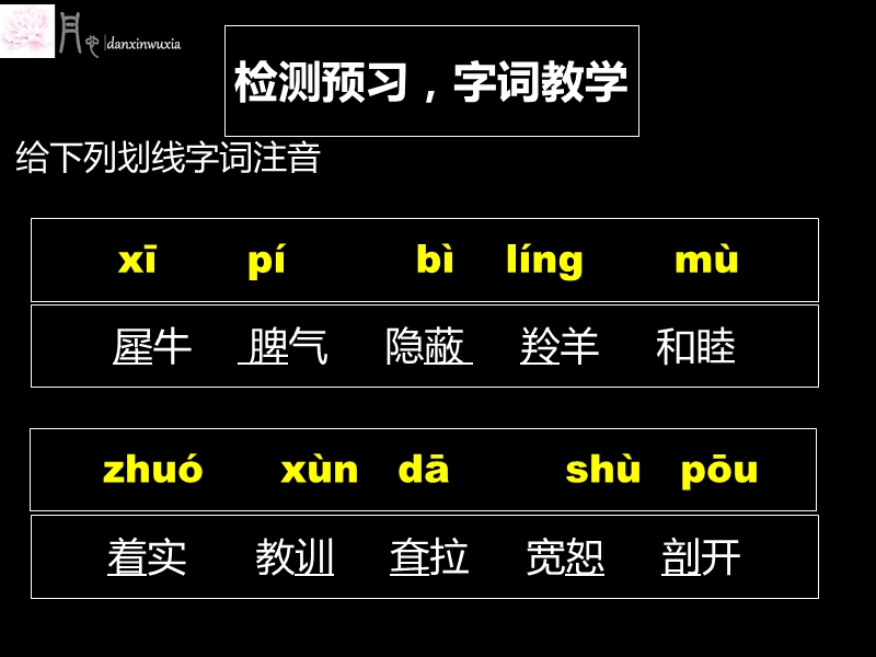 （人教新课标）三年级语文下册课件 小狮子爱尔莎.ppt_第3页