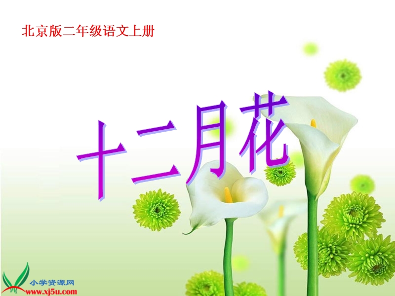 （北京版）二年级语文上册课件 十二月花 1.ppt_第1页