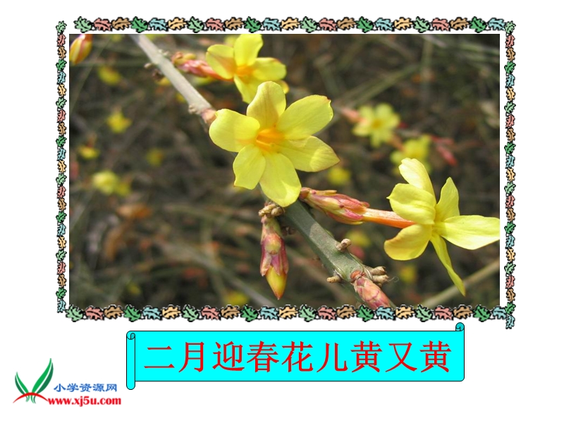 （北京版）二年级语文上册课件 十二月花 1.ppt_第3页