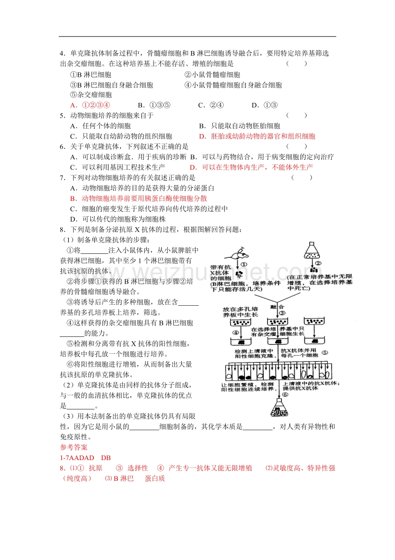 生物：2.3《动物的克隆》学案导学（浙科版选修3）.doc_第3页