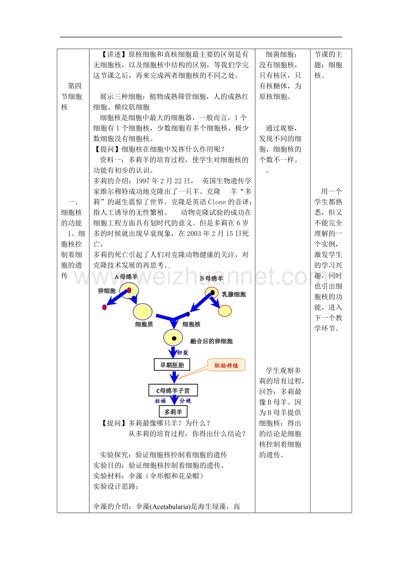 浙江省义乌三中高一生物教案 细胞核（1）（浙科版必修一）.doc_第2页