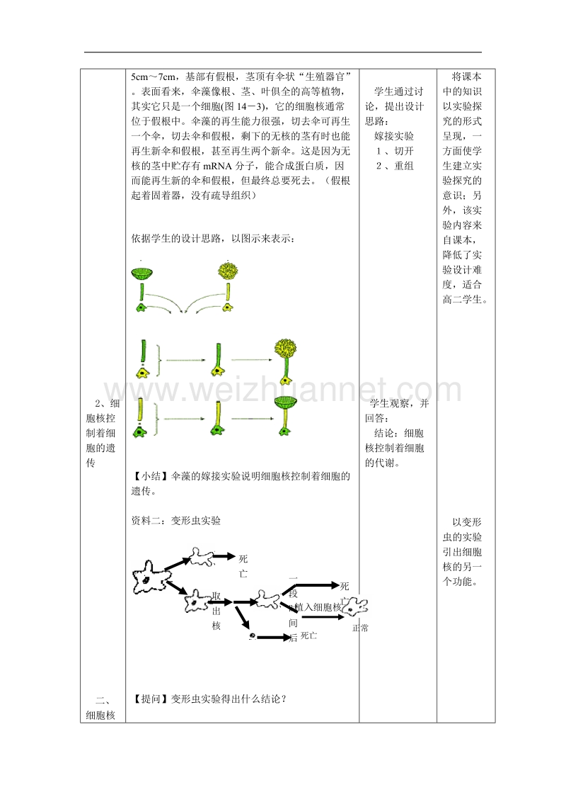 浙江省义乌三中高一生物教案 细胞核（1）（浙科版必修一）.doc_第3页