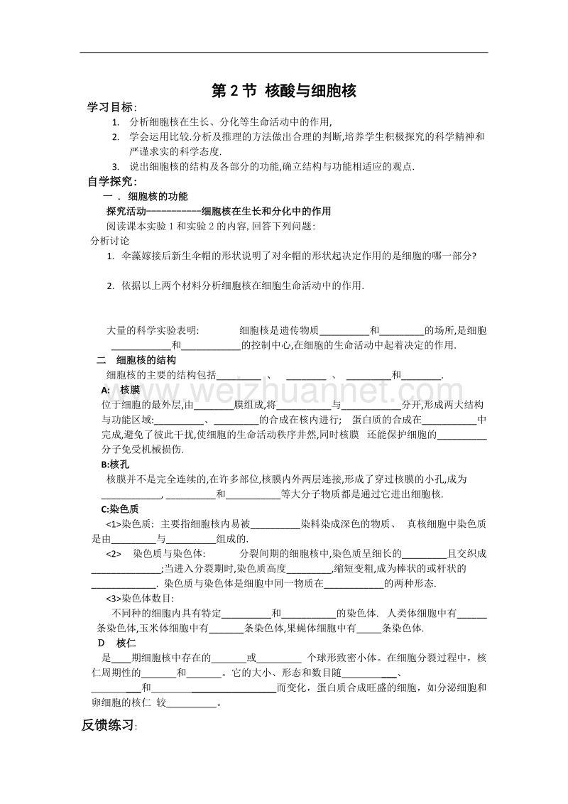 生物：2.2.2《核酸与细胞核》学案（中图版必修1）.doc_第1页