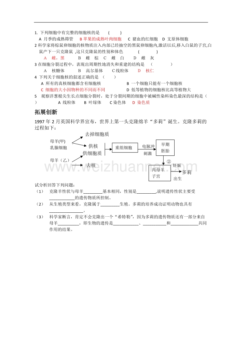 生物：2.2.2《核酸与细胞核》学案（中图版必修1）.doc_第2页