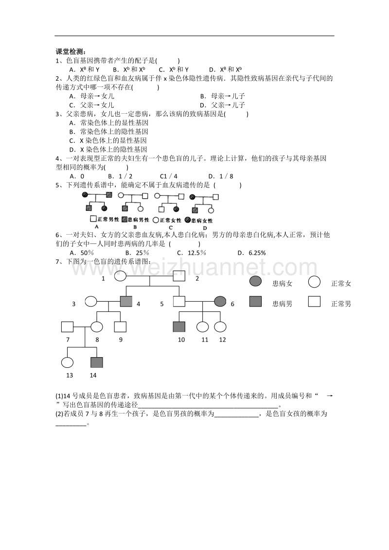 生物：8.2《伴性遗传》学案（1）（沪科版第三册）.doc_第3页