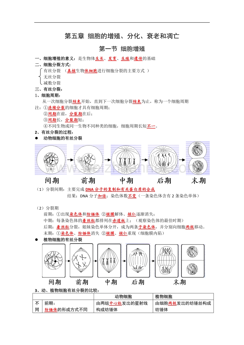 苏教版生物必修1复习提纲：第五章《细胞的增殖、分化、衰老和凋亡》.doc_第1页