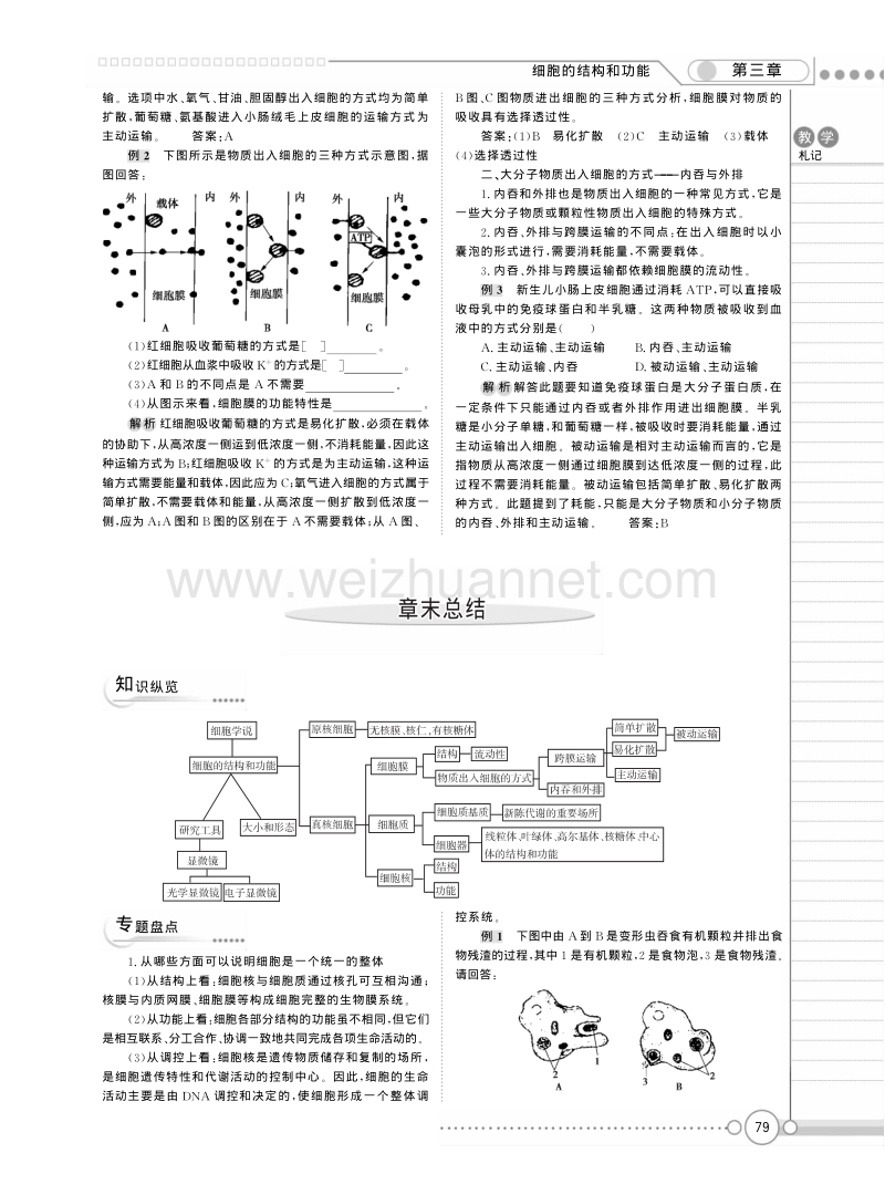 高一苏教版生物必修一精品教案：《第三章 细胞的结构和功能 》章末总结 .pdf_第1页