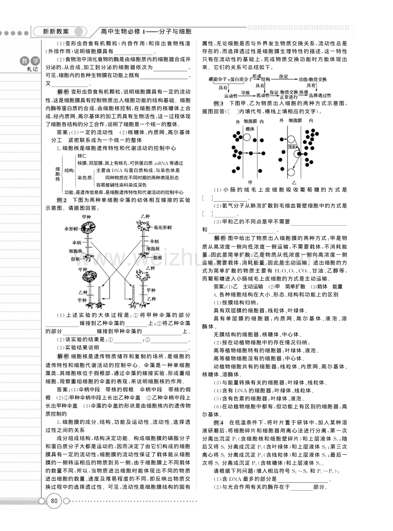 高一苏教版生物必修一精品教案：《第三章 细胞的结构和功能 》章末总结 .pdf_第2页