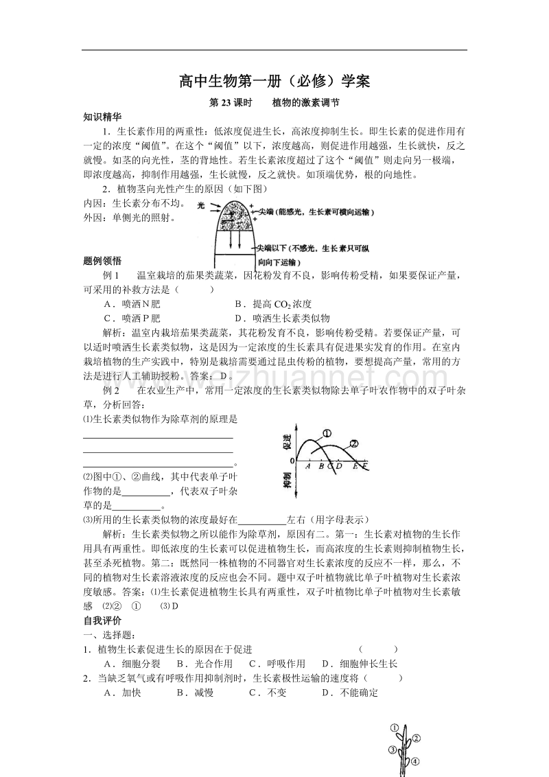 高中生物第一册学案：植物的激素调节.doc_第1页