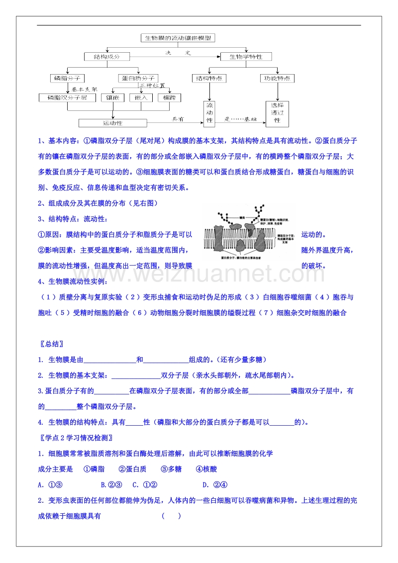 河南省确山县第二高级中学人教版高中生物教案：必修一4.2生物膜的流动镶嵌模型.doc_第2页