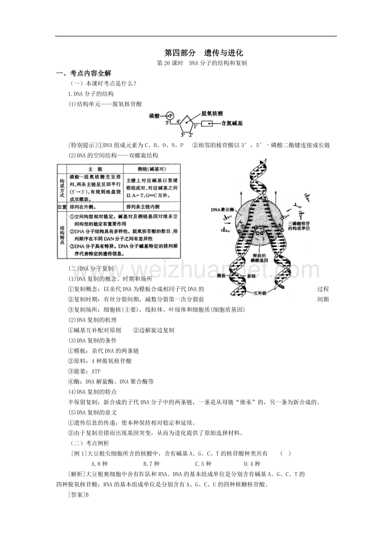 高三生物第一轮复习(旧人教)dna分子的结构和复制.doc_第1页