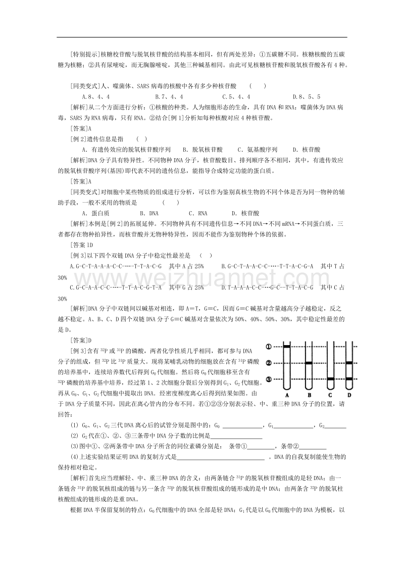 高三生物第一轮复习(旧人教)dna分子的结构和复制.doc_第2页