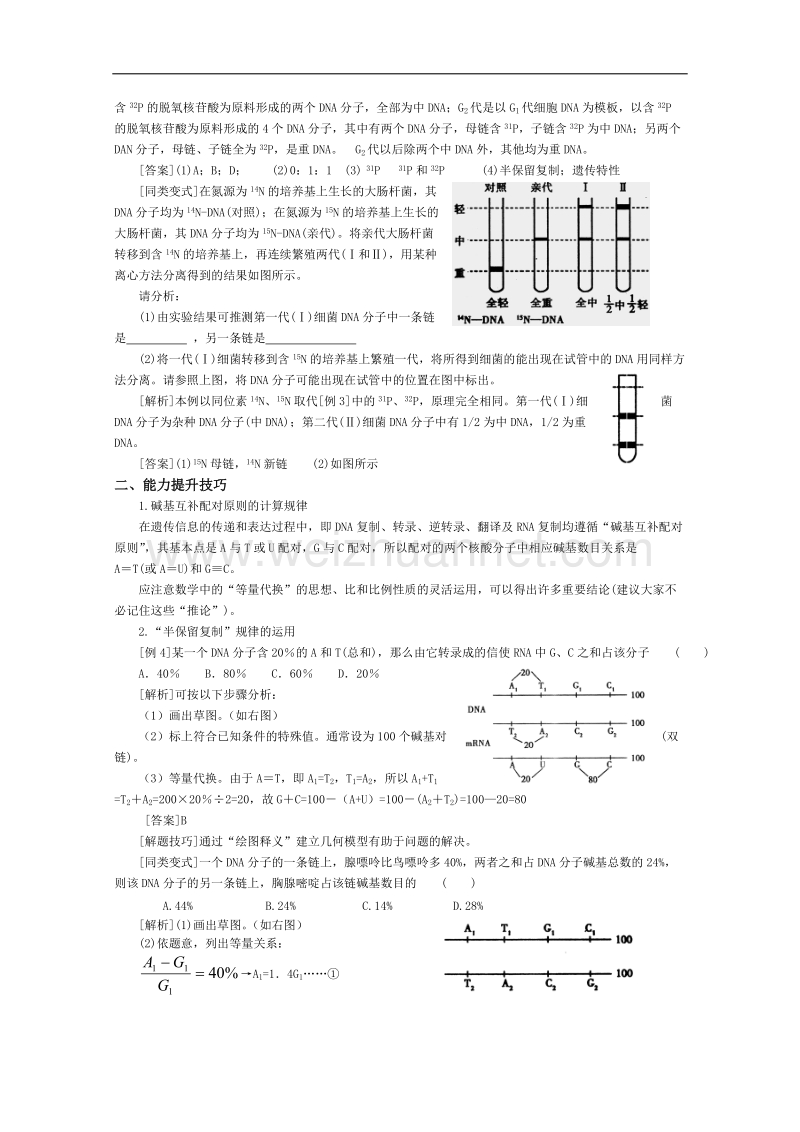 高三生物第一轮复习(旧人教)dna分子的结构和复制.doc_第3页