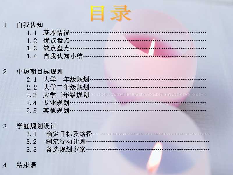 学崖规划设计书.ppt_第3页