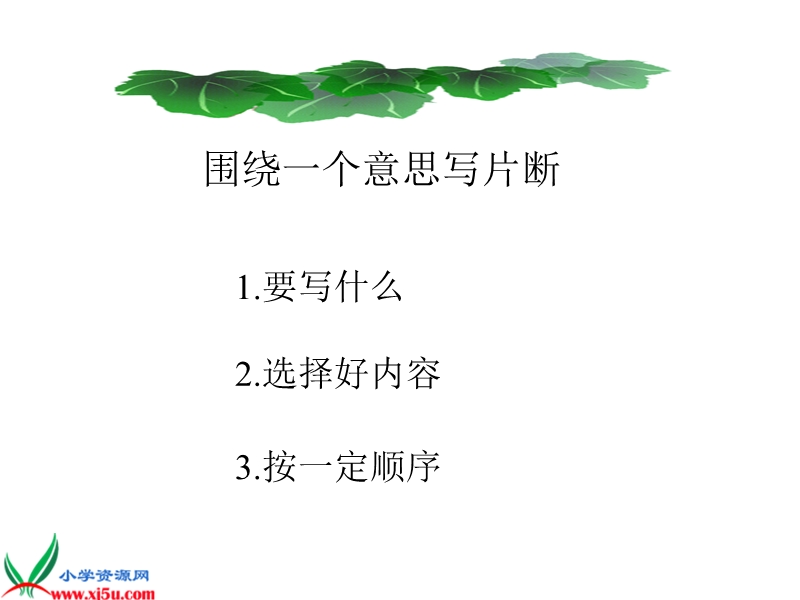 （北京版）三年级语文下册课件 爬山虎的脚 5.ppt_第2页