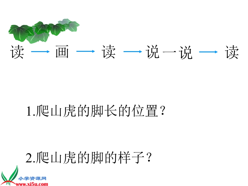 （北京版）三年级语文下册课件 爬山虎的脚 5.ppt_第3页