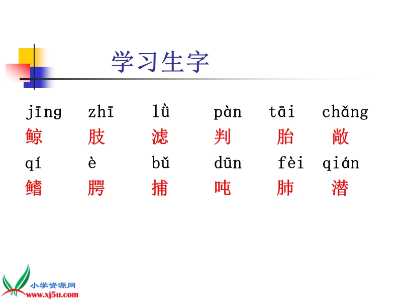 （人教版）五年级语文上册课件 鲸 6.ppt_第2页