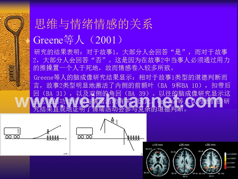 思维专题之二-人类思维的脑机制.ppt_第3页