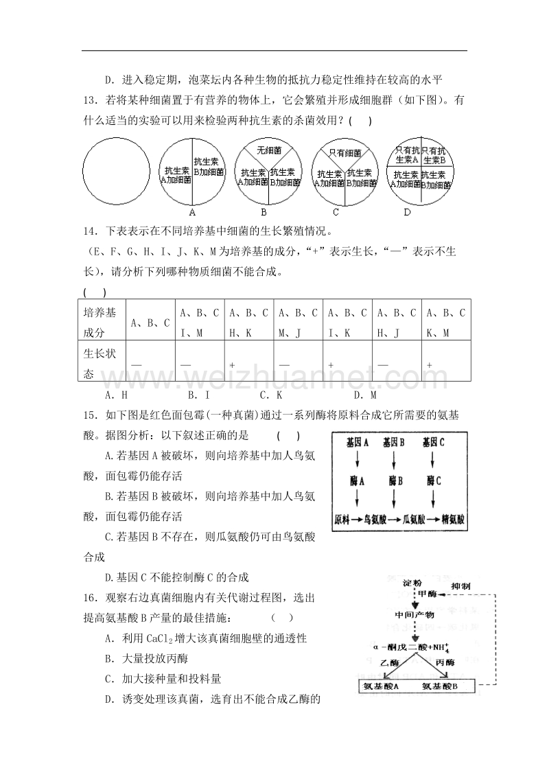 河南省焦作市修武一中分校高二人教版生物选修一导学案：专题二 知识巩固 .doc_第3页