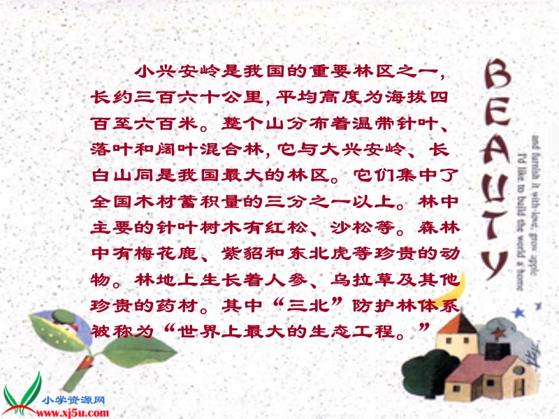 美丽的小兴安岭01.ppt_第2页