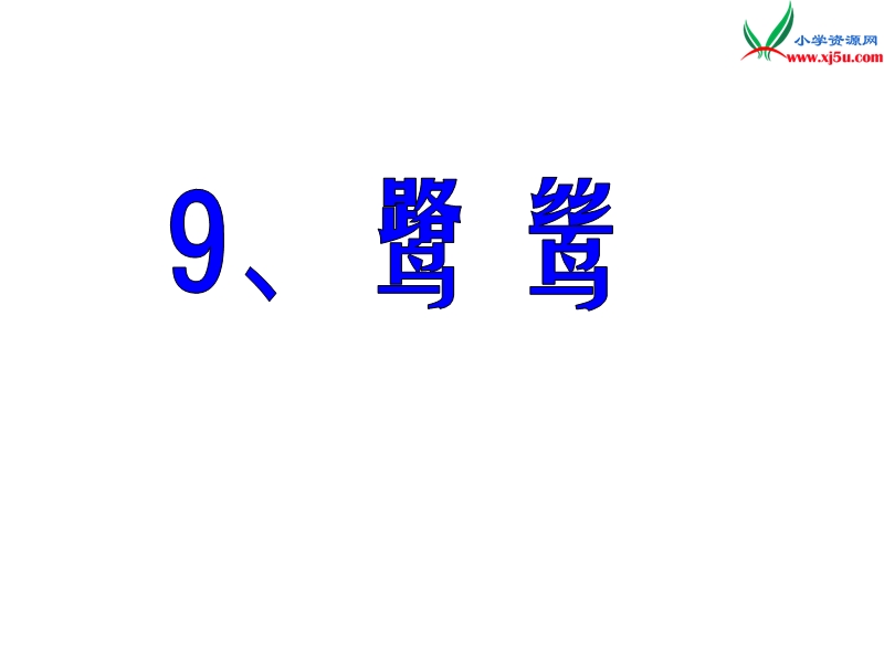 2015秋六年级语文下册《鹭鸶》课件1 湘教版.ppt_第1页