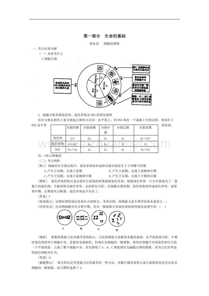 高三生物第一轮复习(旧人教)细胞的增殖.doc_第1页