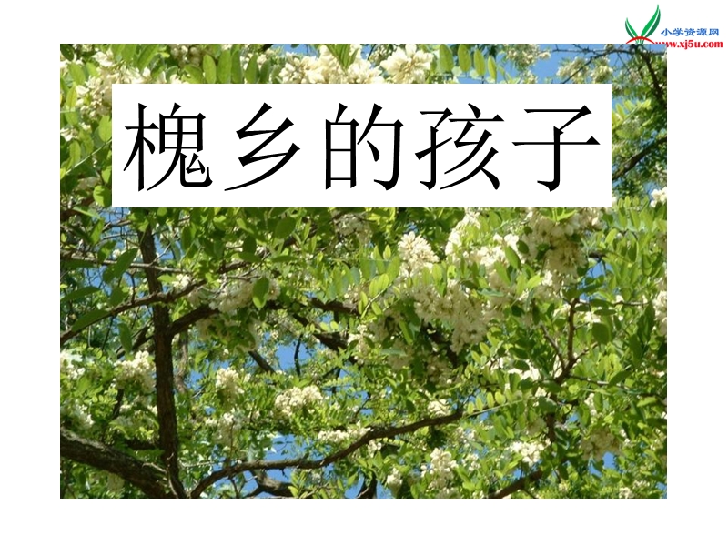 三年级上语文课件-槐乡的孩子-人教版.ppt_第1页