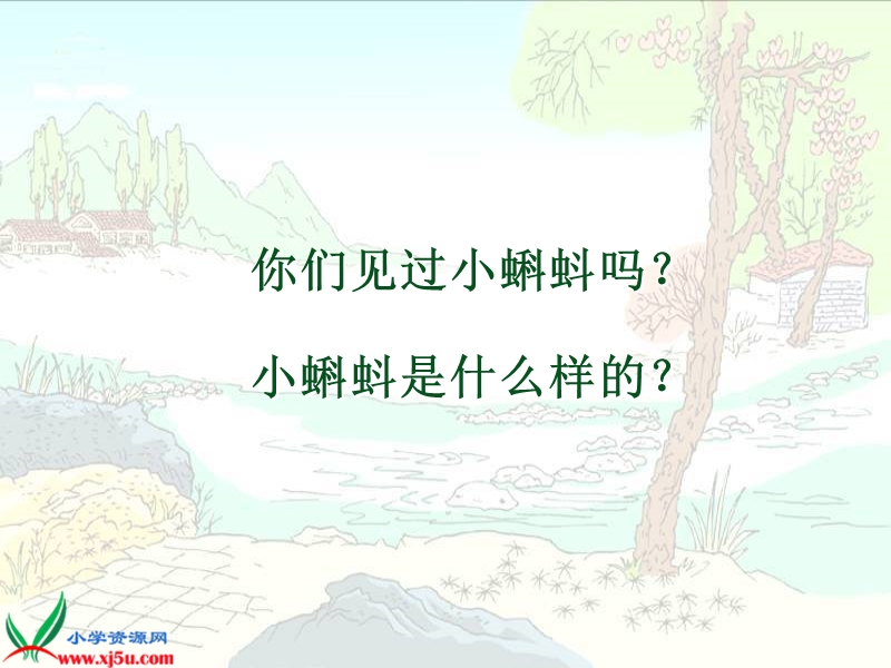 小蝌蚪找妈妈.ppt_第1页