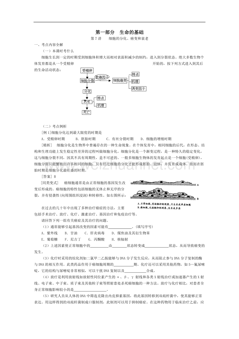 高三生物第一轮复习(旧人教)细胞的分化、癌变和衰老.doc_第1页