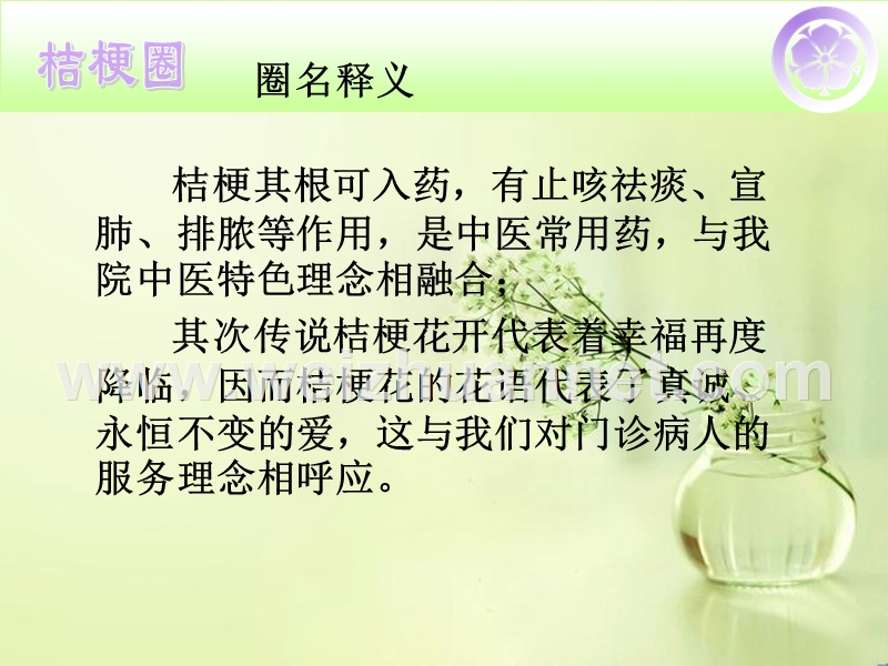 门诊桔梗圈.ppt_第3页