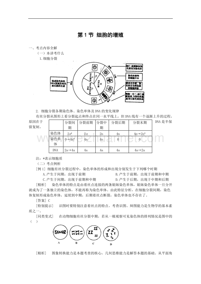 生物：4.1.1《细胞的增殖》教案（5）（中图版必修1）.doc_第1页