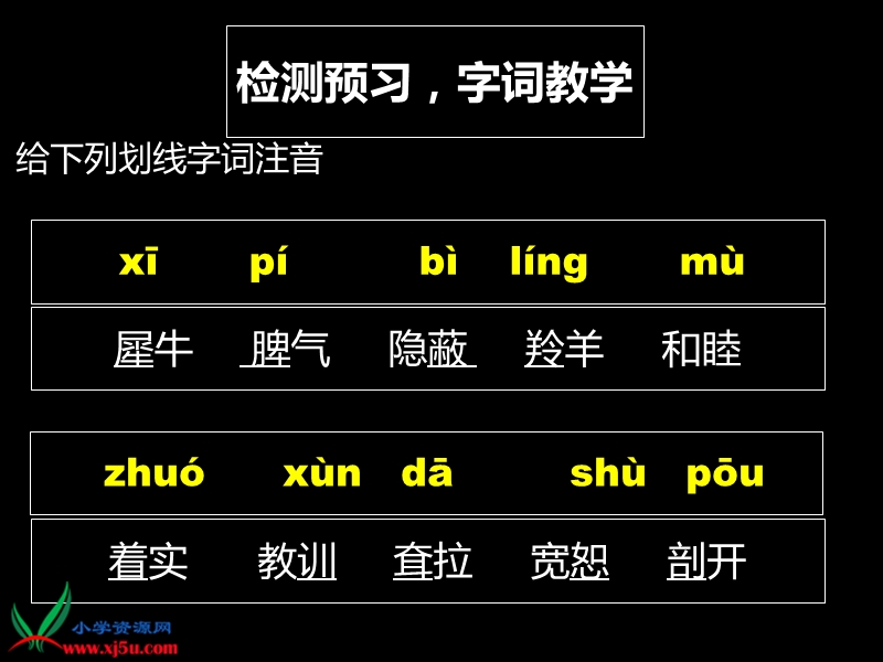 （人教版）四年级语文上册课件 小狮子爱尔莎 3.ppt_第3页