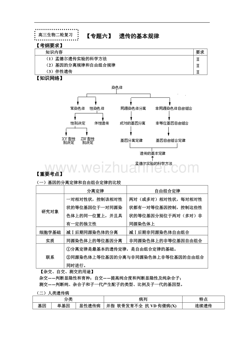 生物二轮专题复习：遗传的基本规律.doc_第1页