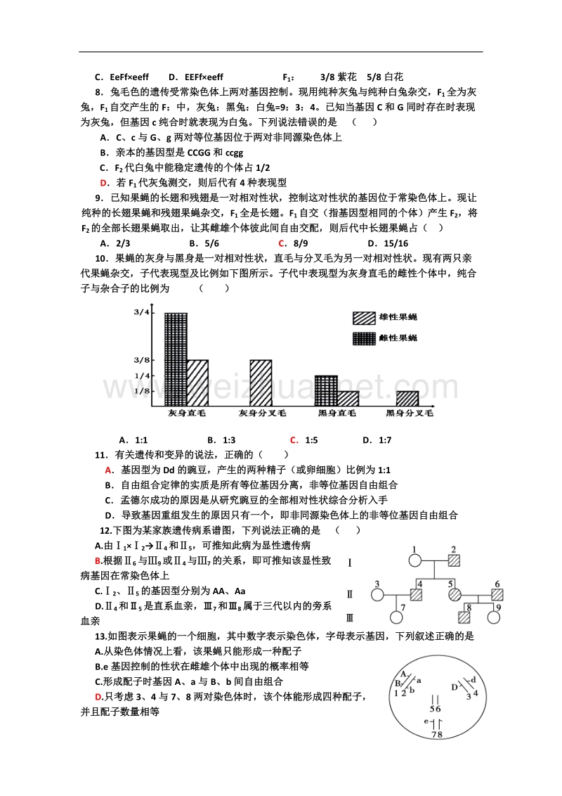 生物二轮专题复习：遗传的基本规律.doc_第3页