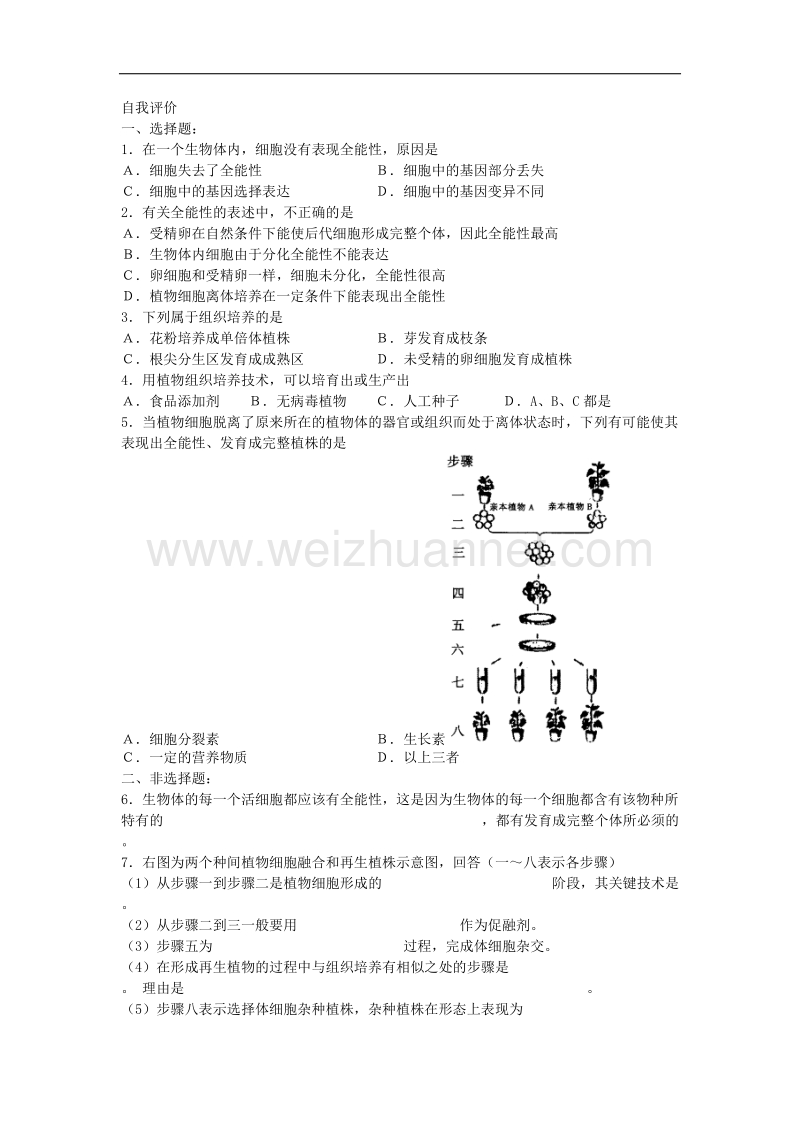 生物专题学案：植物细胞工程.doc_第2页