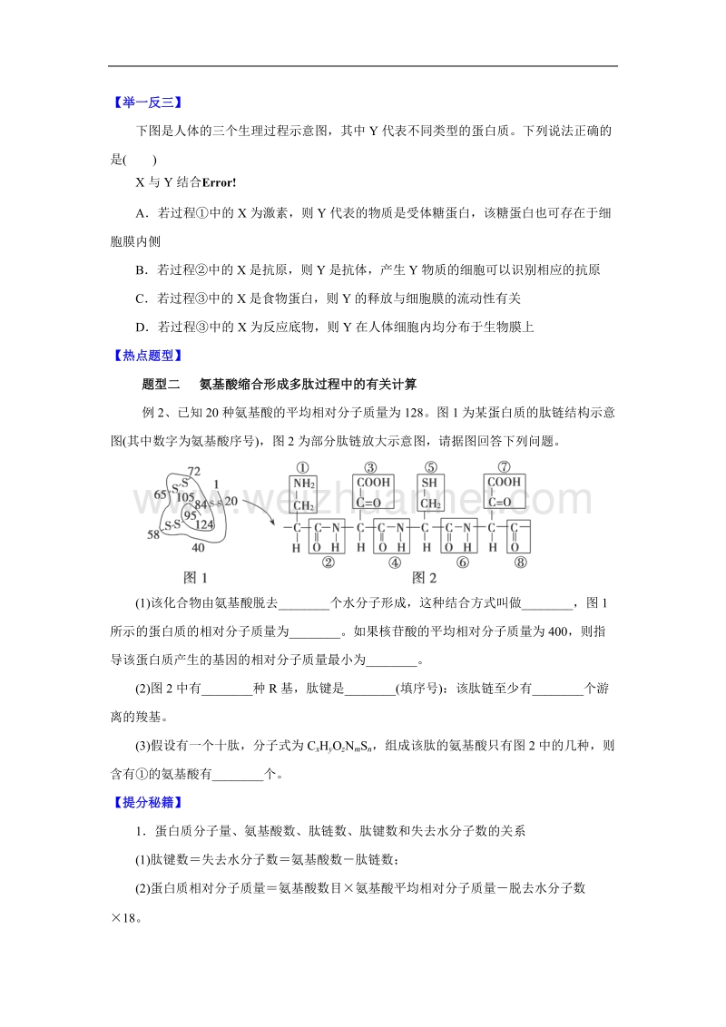 河北省清河挥公实验中学2016届高三生物一轮复习导学案：核酸与蛋白质.doc_第2页