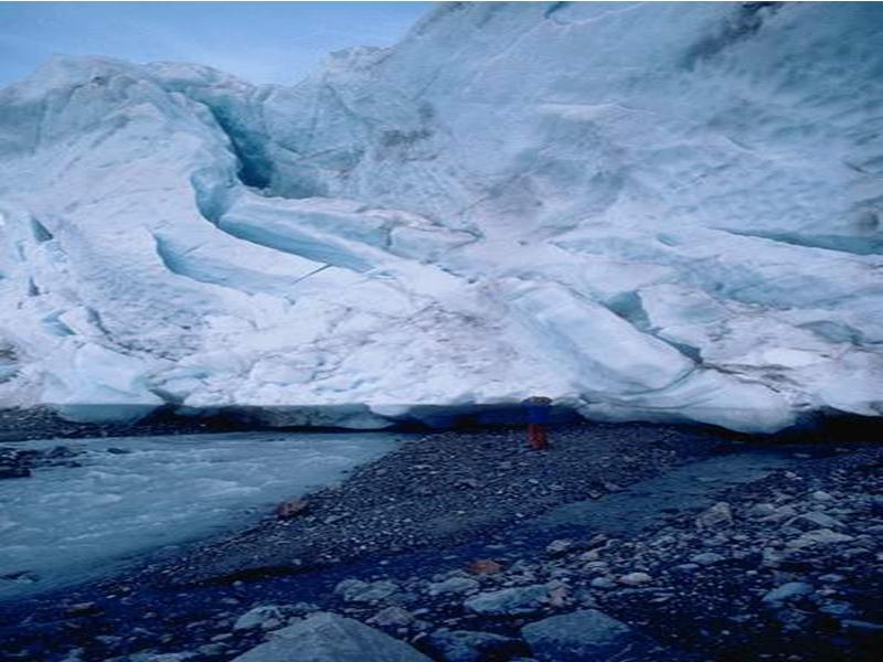 （冀教版）一年级语文上册课件 雪地里的小画家 5.ppt_第2页