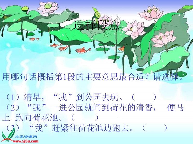 荷花 (eku.cc)1.ppt_第3页