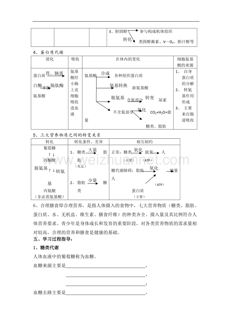 生物：4.4《生物体内营养物质的转换》学案（2）（沪科版第一册）.doc_第2页